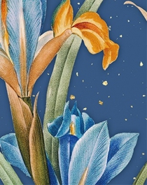 Альбом UFO 10x15x200 PP-46200 Muza